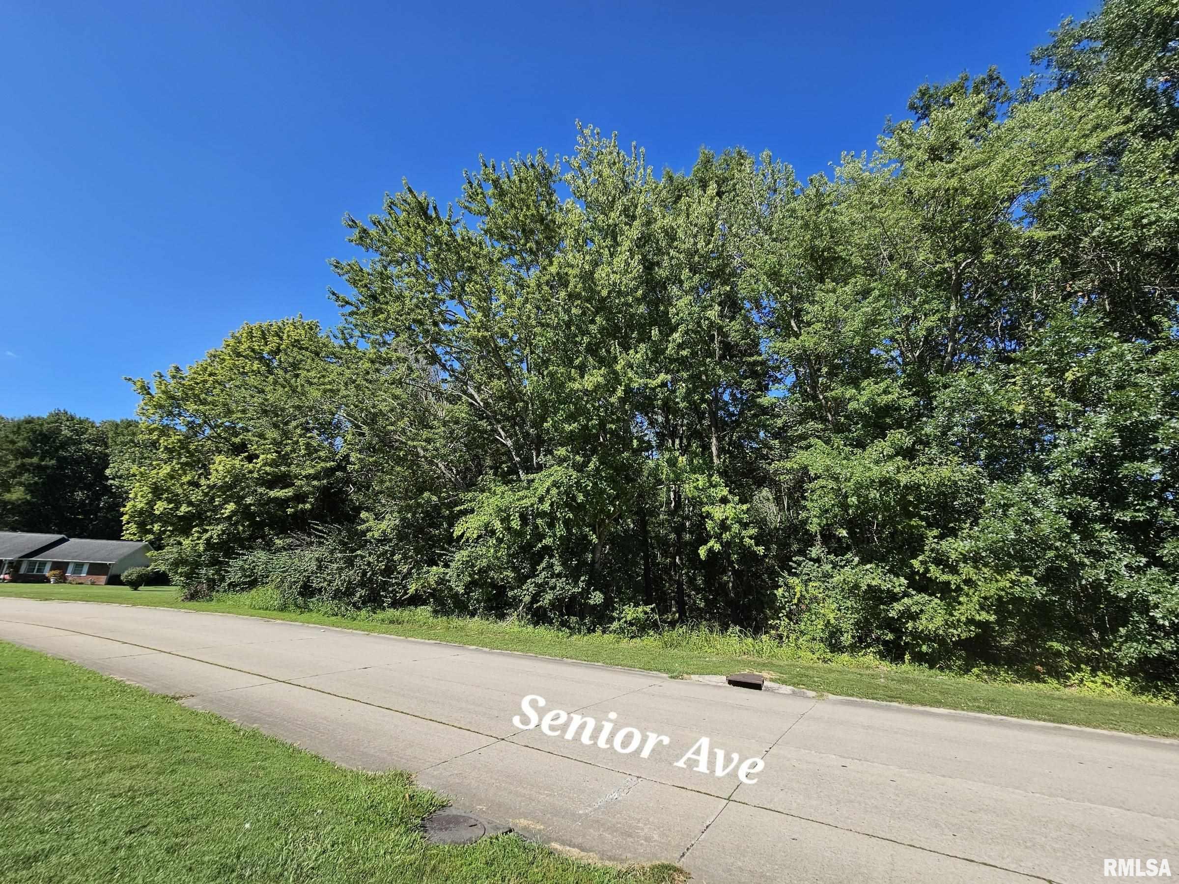 Tbd Galeener Street Vienna, IL 62995 - Photo 4 of 6