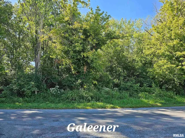 $73,500 | Tbd Galeener Street, Vienna, IL 62995