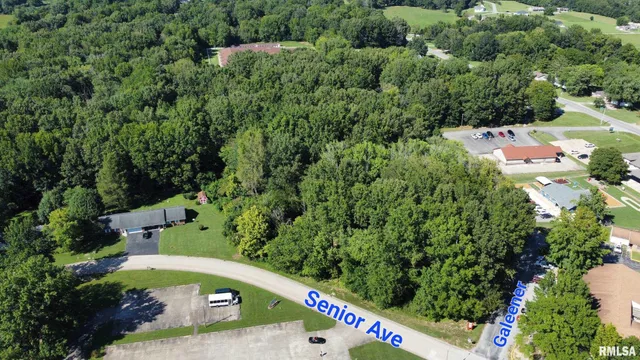 $73,500 | Tbd Galeener Street, Vienna, IL 62995