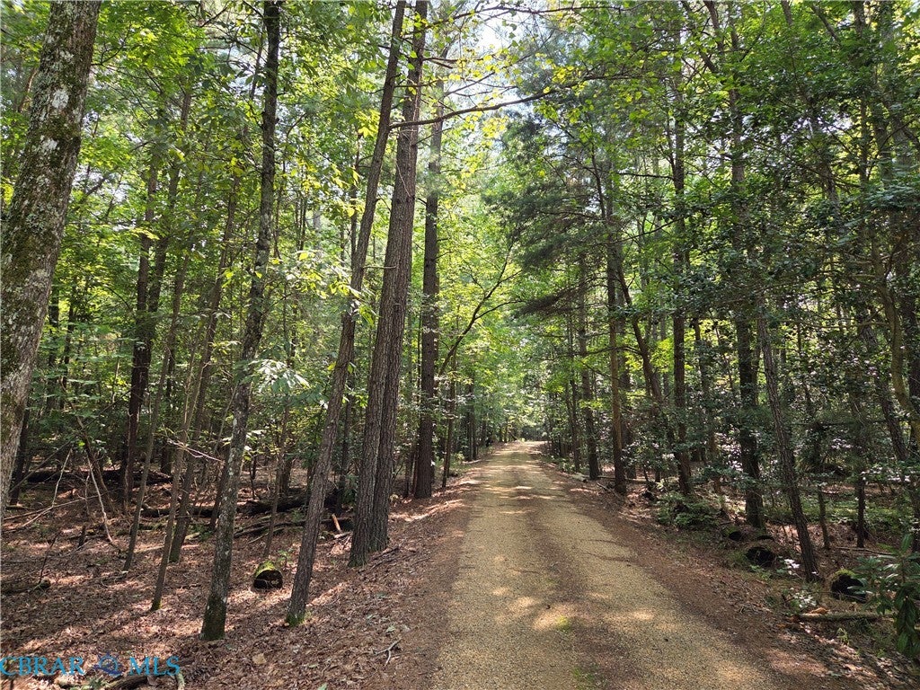 27-32a Amber Road Weems, VA 22576 - Photo 4 of 10 Gallery Image 4