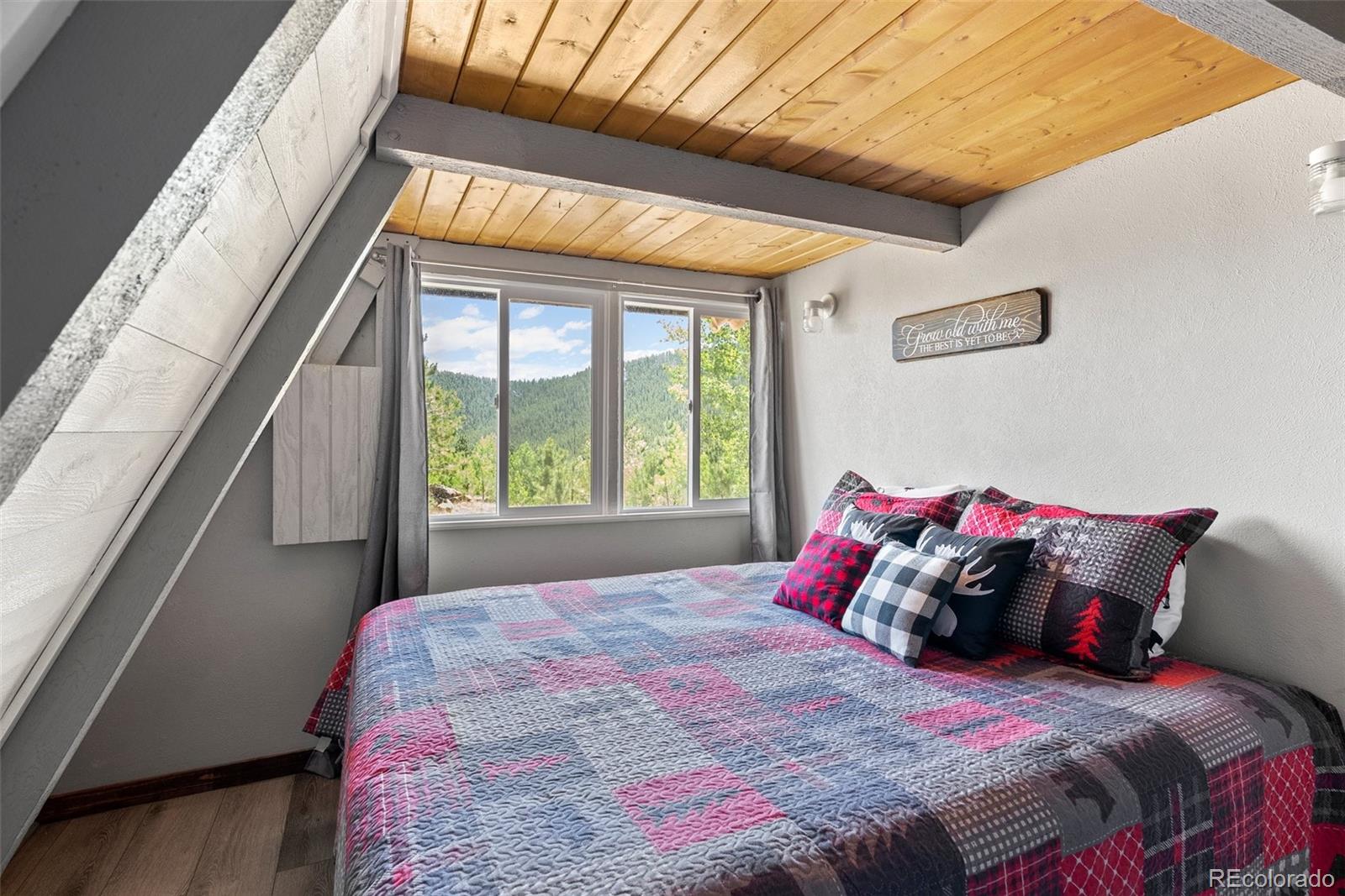 167 Hall Road Bailey, CO 80421 - Photo 14 of 32