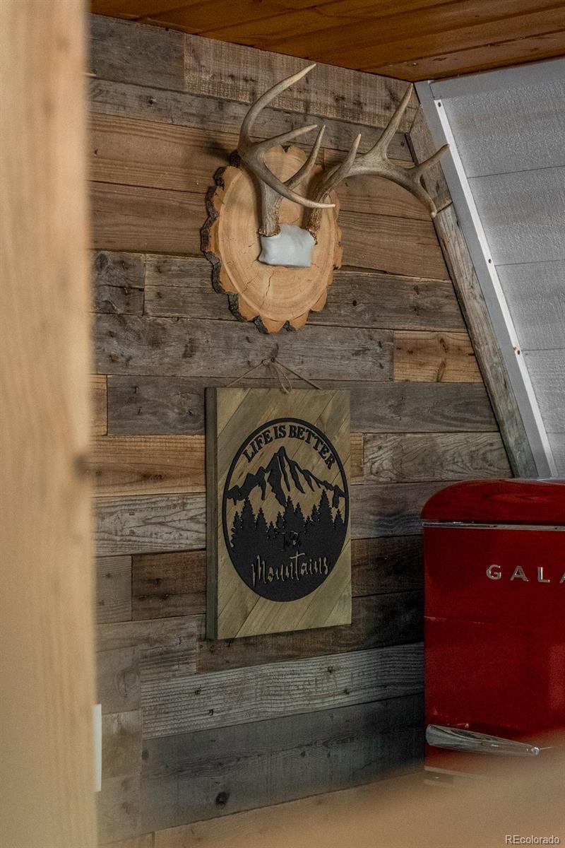 167 Hall Road Bailey, CO 80421 - Photo 24 of 32
