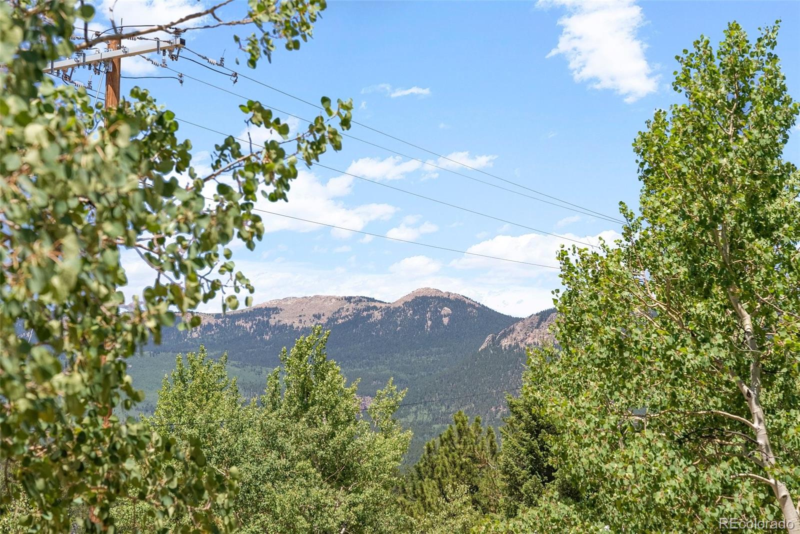 167 Hall Road Bailey, CO 80421 - Photo 27 of 32