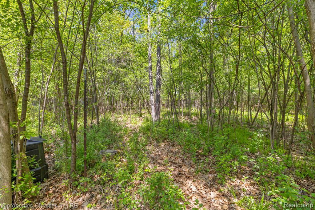 1041 Greentree Road Bloomfield Hills, MI 48304 - Photo 69 of 70