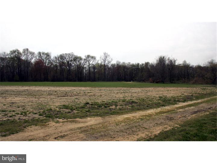 733 Farmhouse Road Mickleton, NJ 08056 - Photo 23 of 23 View in Back