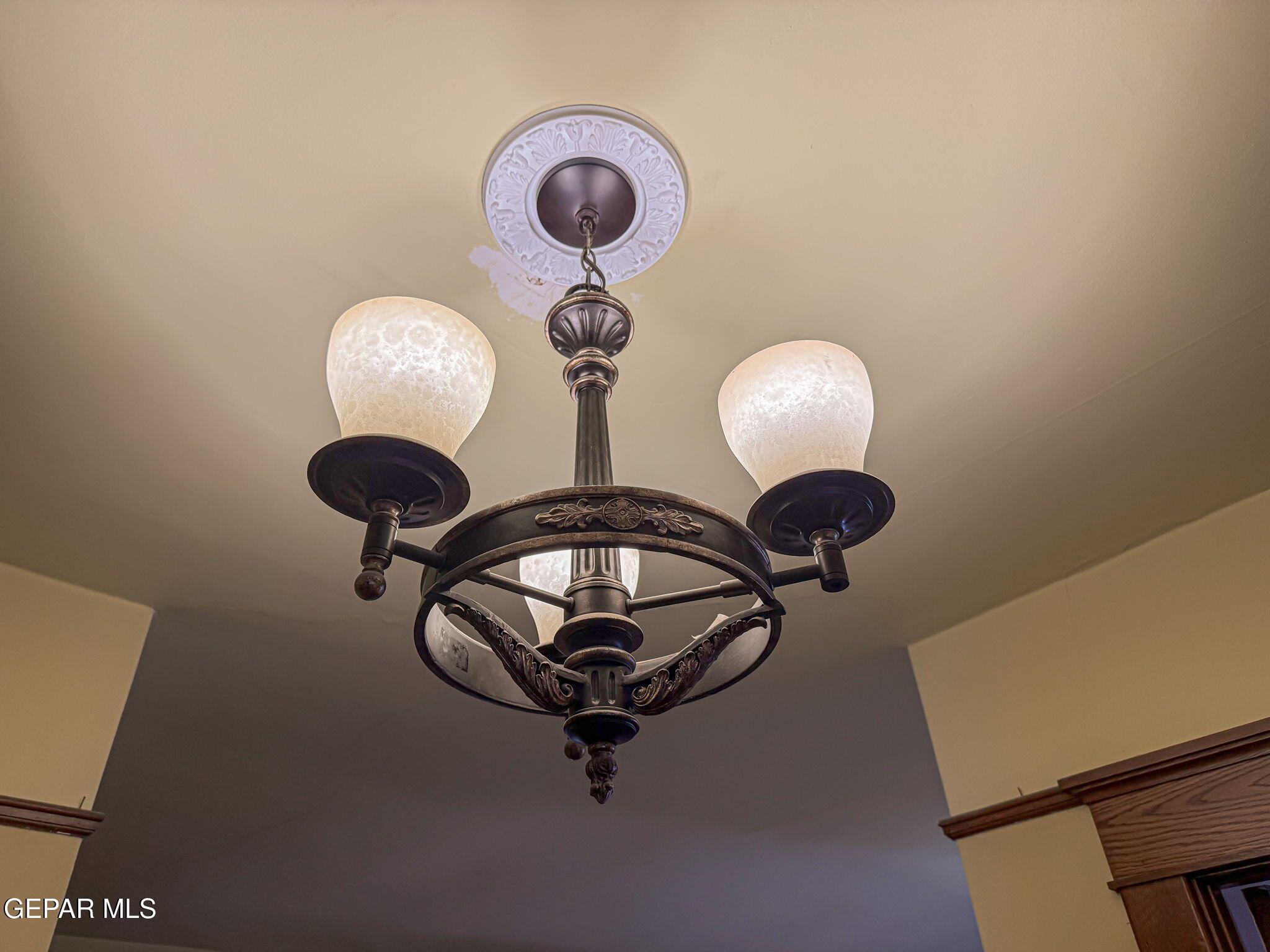 525 Corto Way El Paso, TX 79902 - Photo 65 of 98 59-web-or-mls-IMG_6906