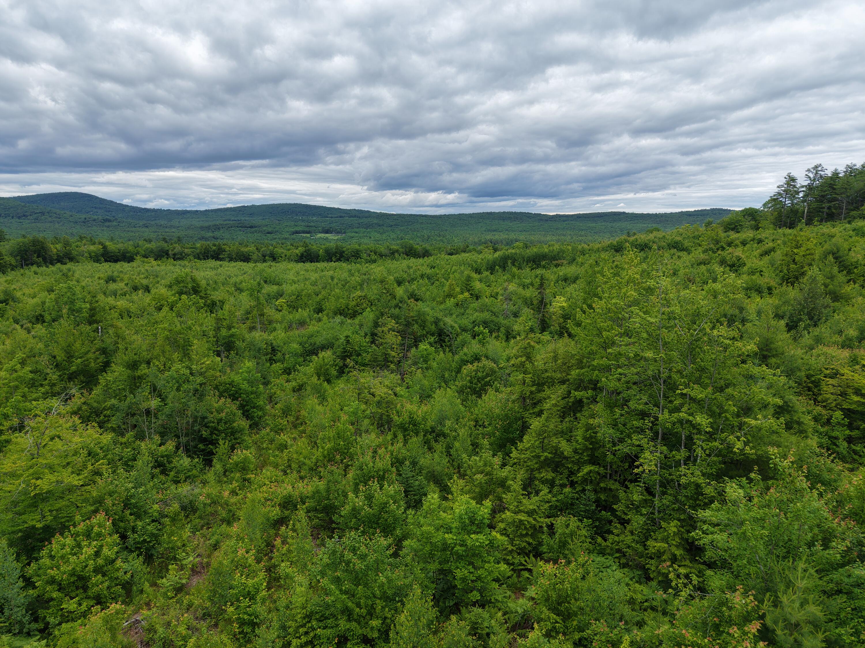 L52 Bridgton Road Harrison, ME 04040 - Photo 18 of 29