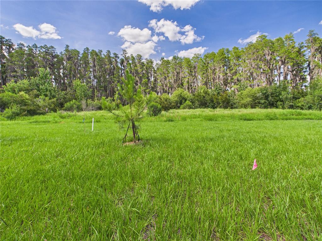 32519 Welling Blade Loop Wesley Chapel, FL 33545 - Photo 52 of 87