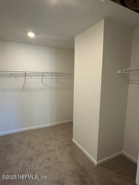 51 Camphor Laurel Road St. Augustine, FL 32092 - Photo 24 of 36 thumbnail_IMG_9835