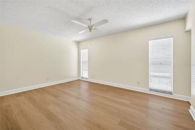 a park with large trees