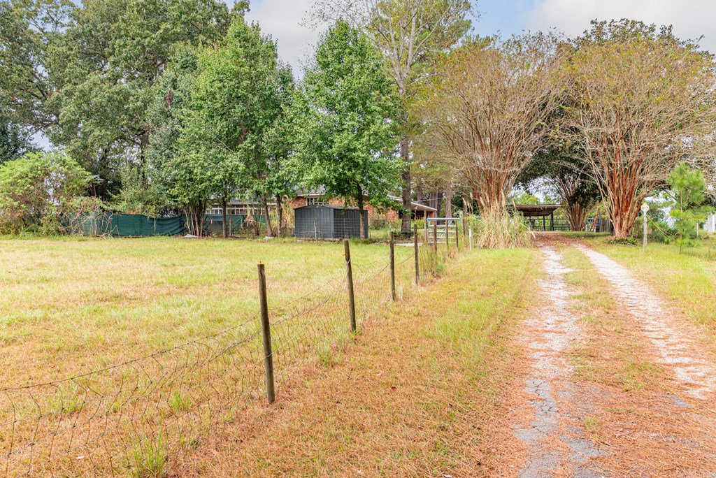 4508 Sandfort Road Seale, AL 36875 - Photo 11 of 61 Gallery Image 11