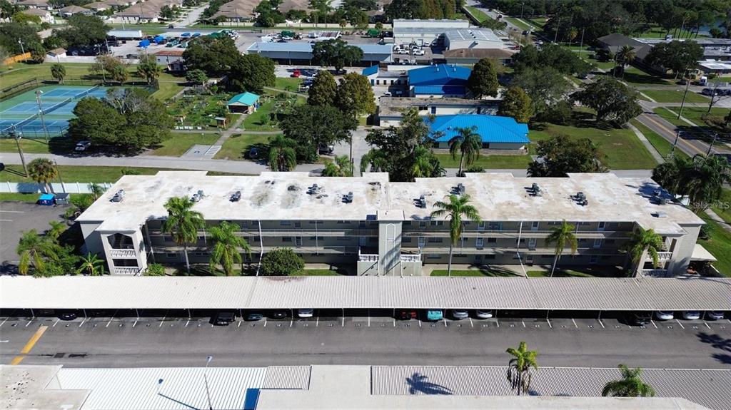 970 Virginia Street, Unit 109 Dunedin, FL 34698 - Photo 32 of 32