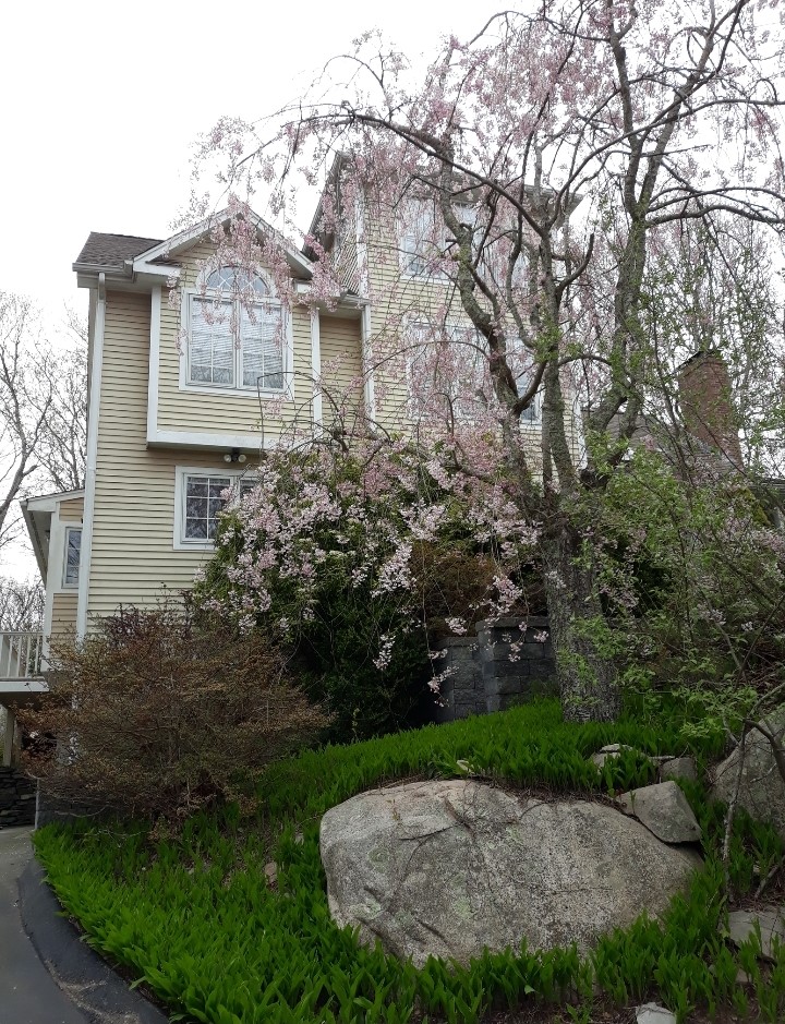 44 Rockridge Road Westerly, RI 02891 - Photo 34 of 41