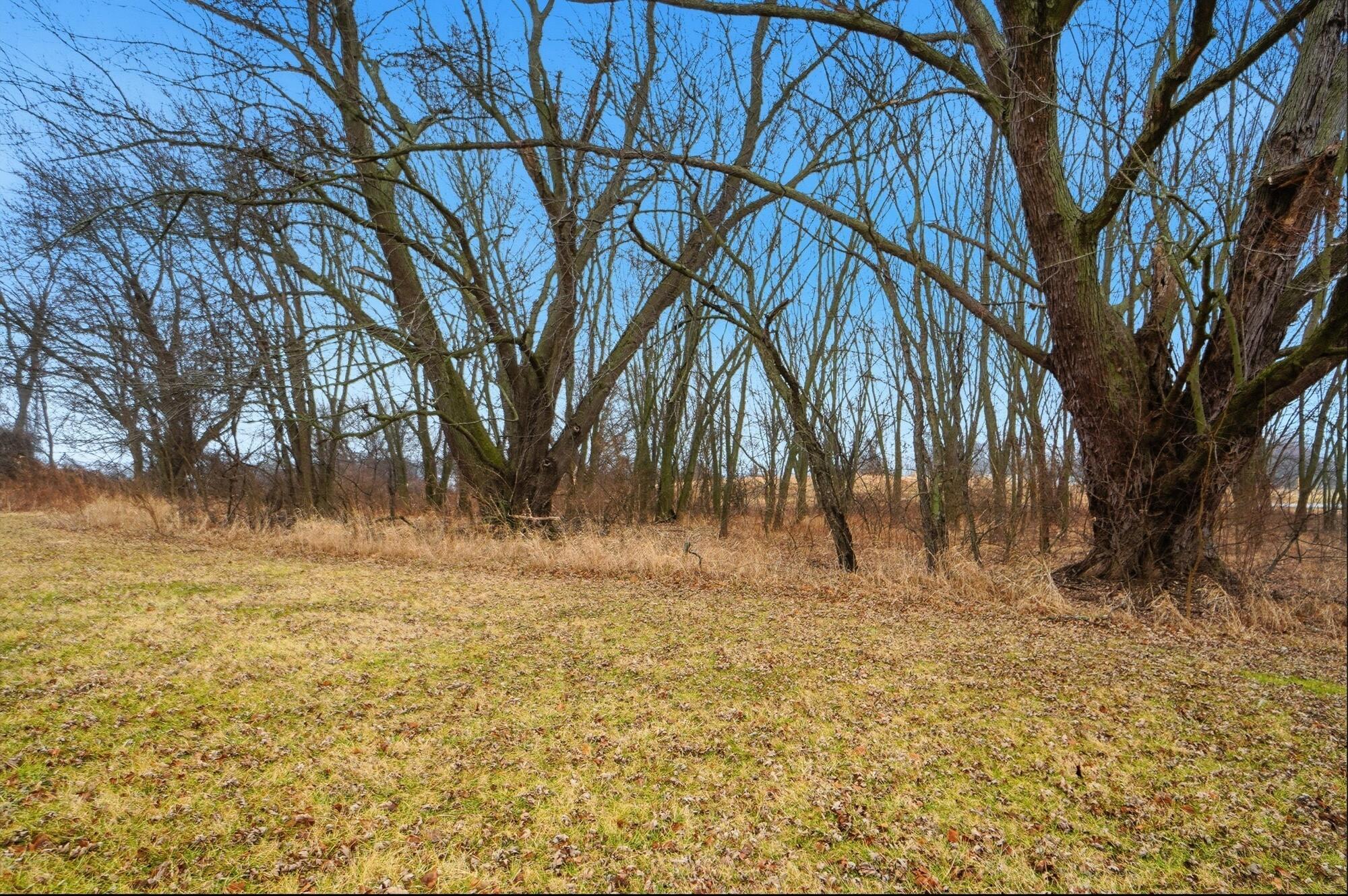 4840 Tschopp Road Northeast Lancaster, OH 43130 - Photo 53 of 58 Yard View - 4840 Tschopp Road NE, Lancaster, OH 43130