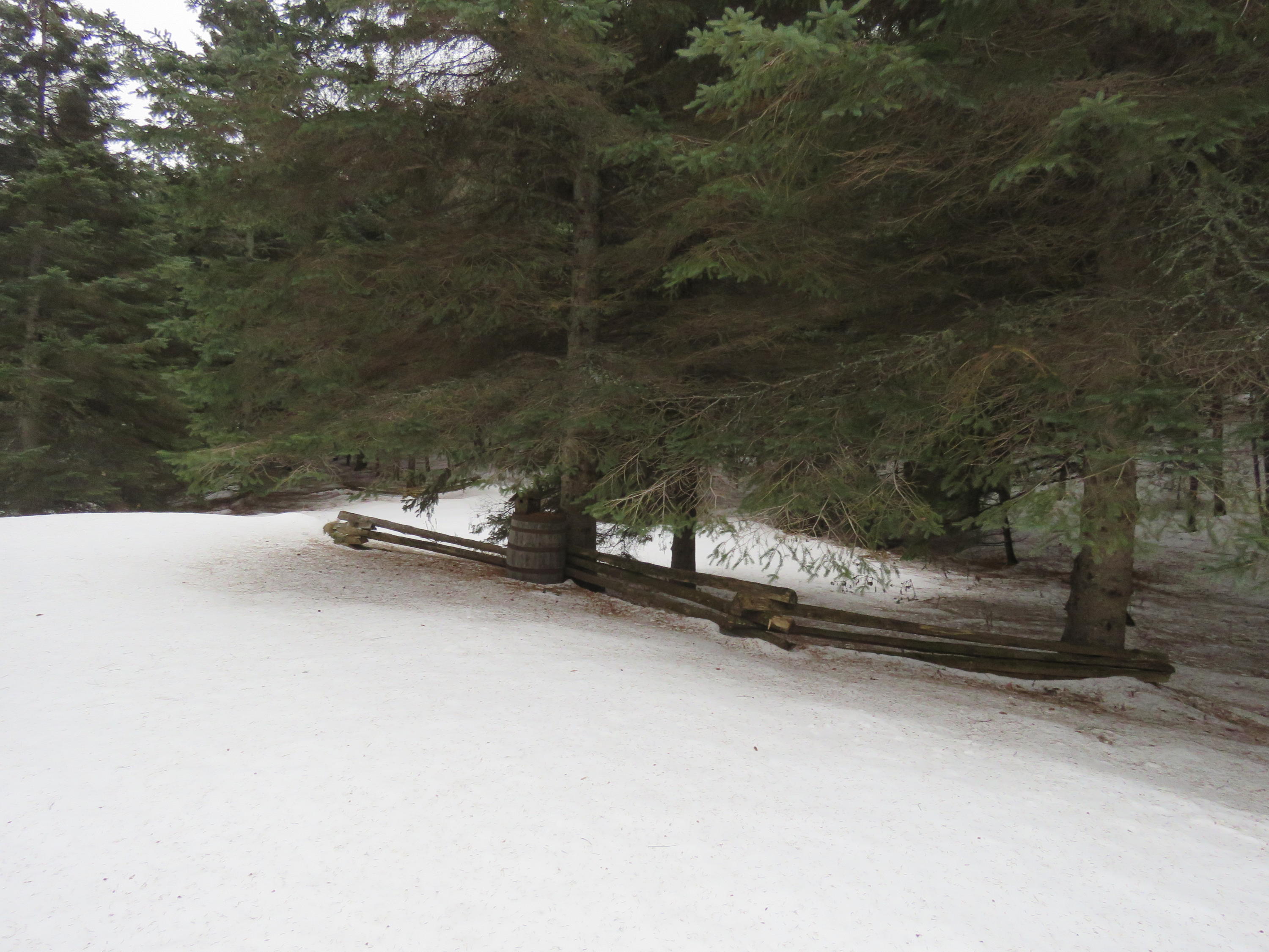 16 White Road Presque Isle, ME 04769 - Photo 3 of 13 IMG_8032
