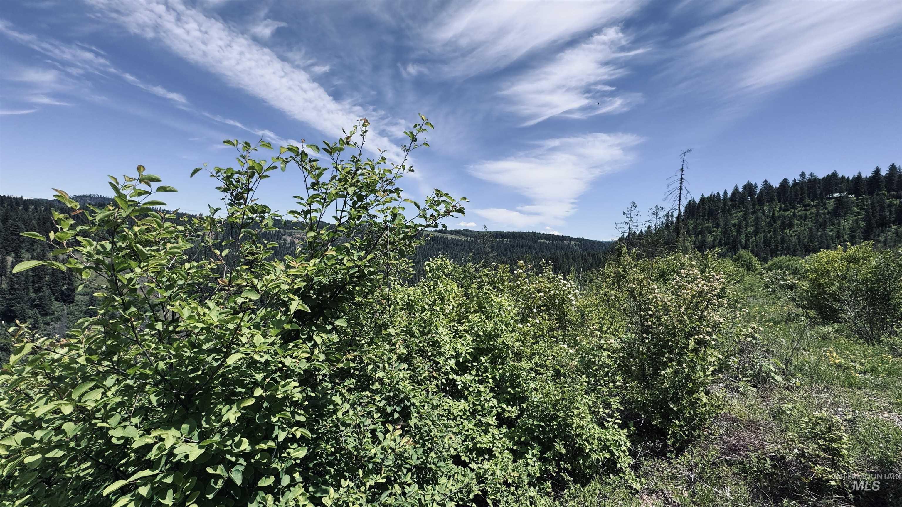 Tbd Glenwood Road Kamiah, ID 83536 - Photo 22 of 50