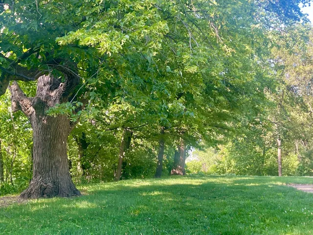 $775,000 | 1680 Lexington Avenue South, Mendota Heights, MN 55118