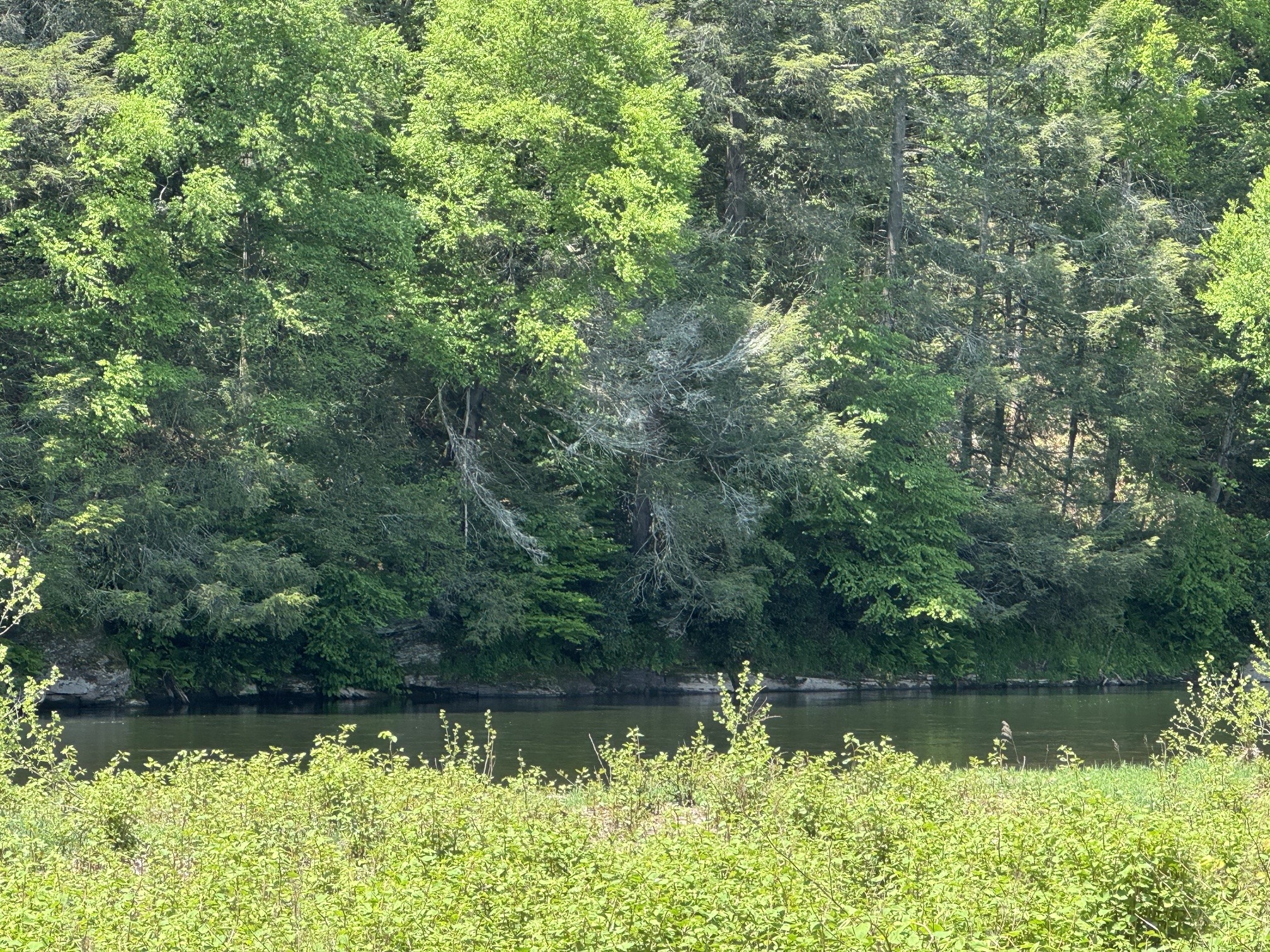 200 Peters Road Hancock, NY 13783 - Photo 13 of 45
