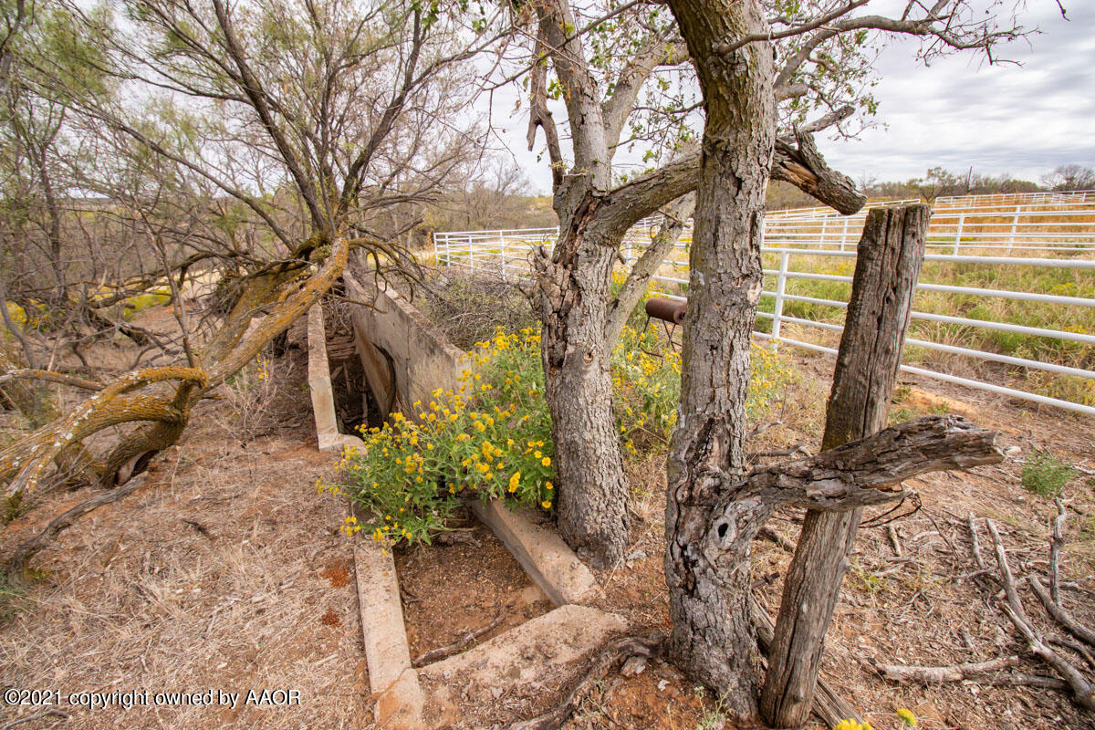 Hess Ranch McLean, TX 79057 - Photo 106 of 136 Hess_Ranch-112