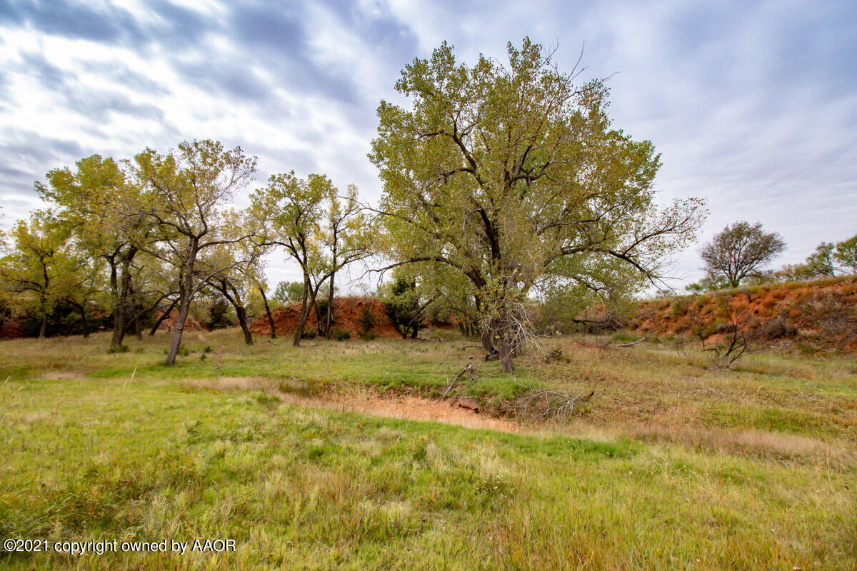 Hess Ranch McLean, TX 79057 - Photo 107 of 136 Hess_Ranch-113