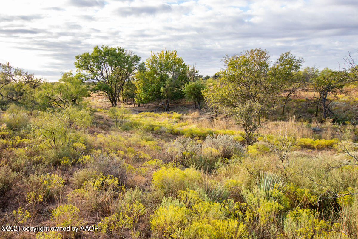 Hess Ranch McLean, TX 79057 - Photo 22 of 136 Hess_Ranch-022