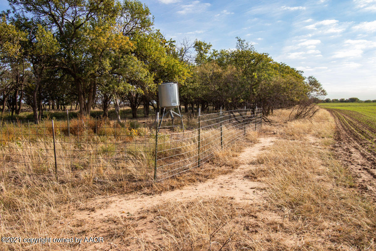 Hess Ranch McLean, TX 79057 - Photo 38 of 136 Hess_Ranch-038
