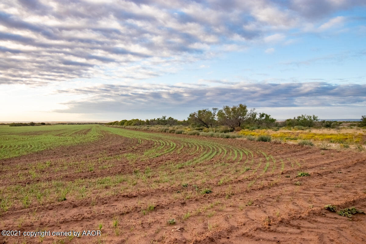 Hess Ranch McLean, TX 79057 - Photo 5 of 136 Hess_Ranch-005