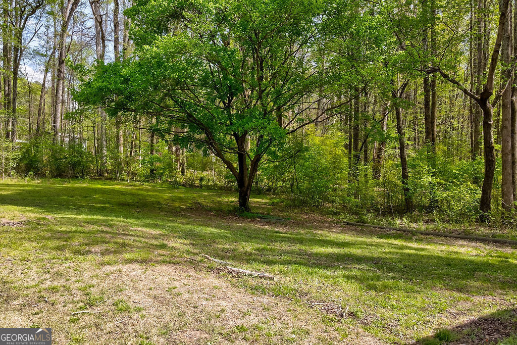 2051 Emmett Doster Road Northwest Monroe, GA 30656 - Photo 37 of 50 a view of a trees in a yard