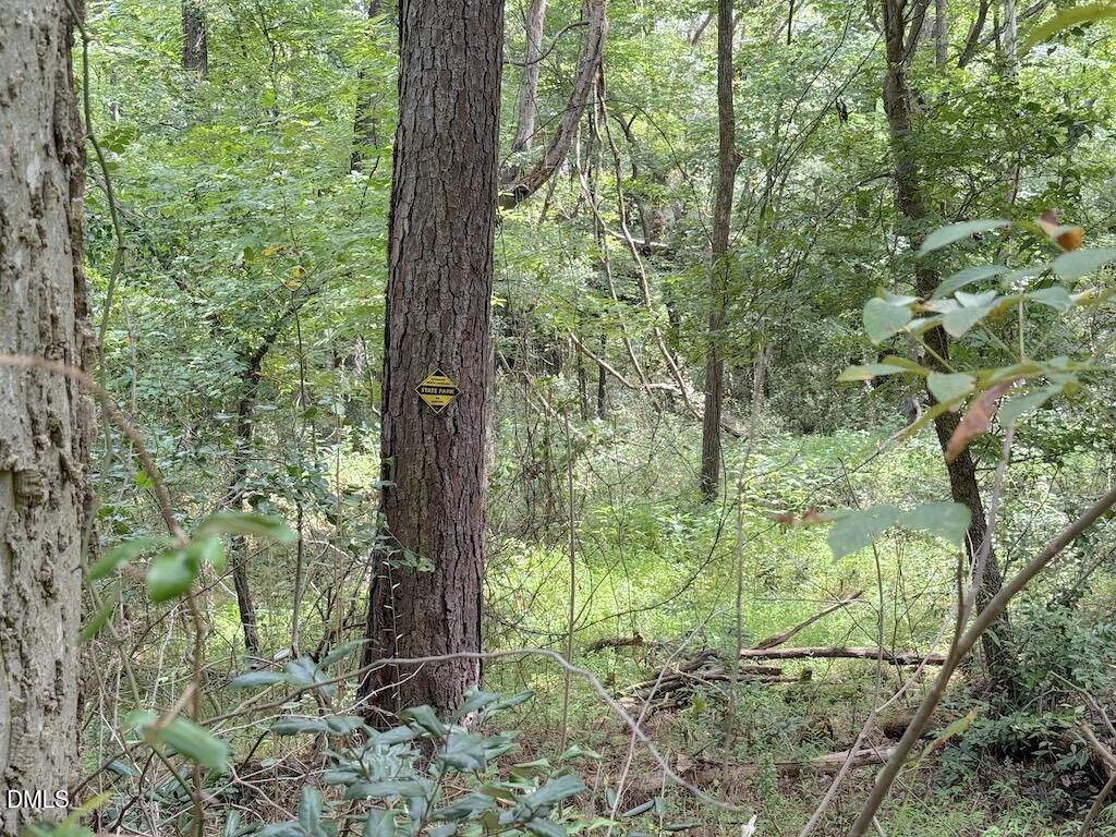 0 Laurel Rdg Road Durham, NC 27705 - Photo 26 of 41 26