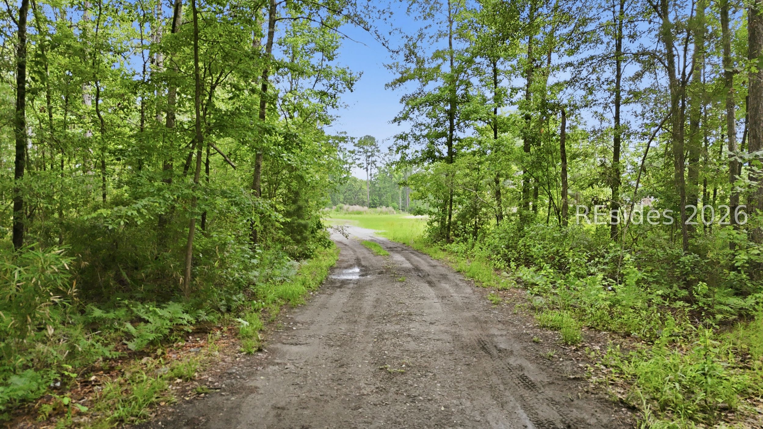 0 Riceshire Road Ridgeland, SC 29936 - Photo 3 of 19