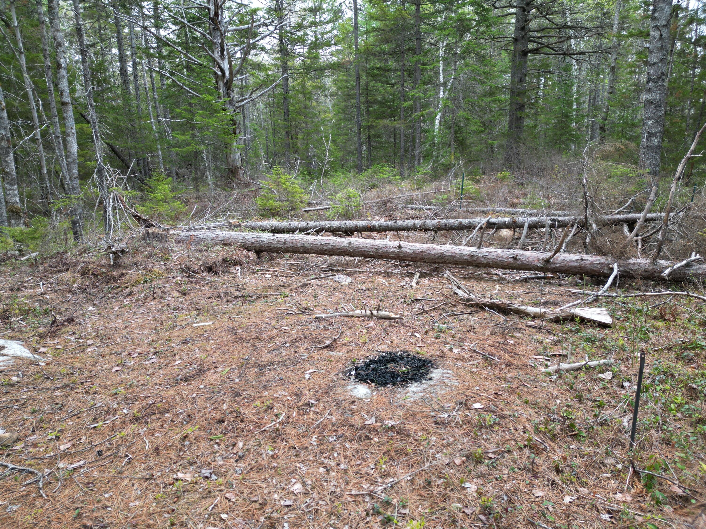 1323 Deer Haven Road Wesley, ME 04686 - Photo 7 of 14 DJI_0418