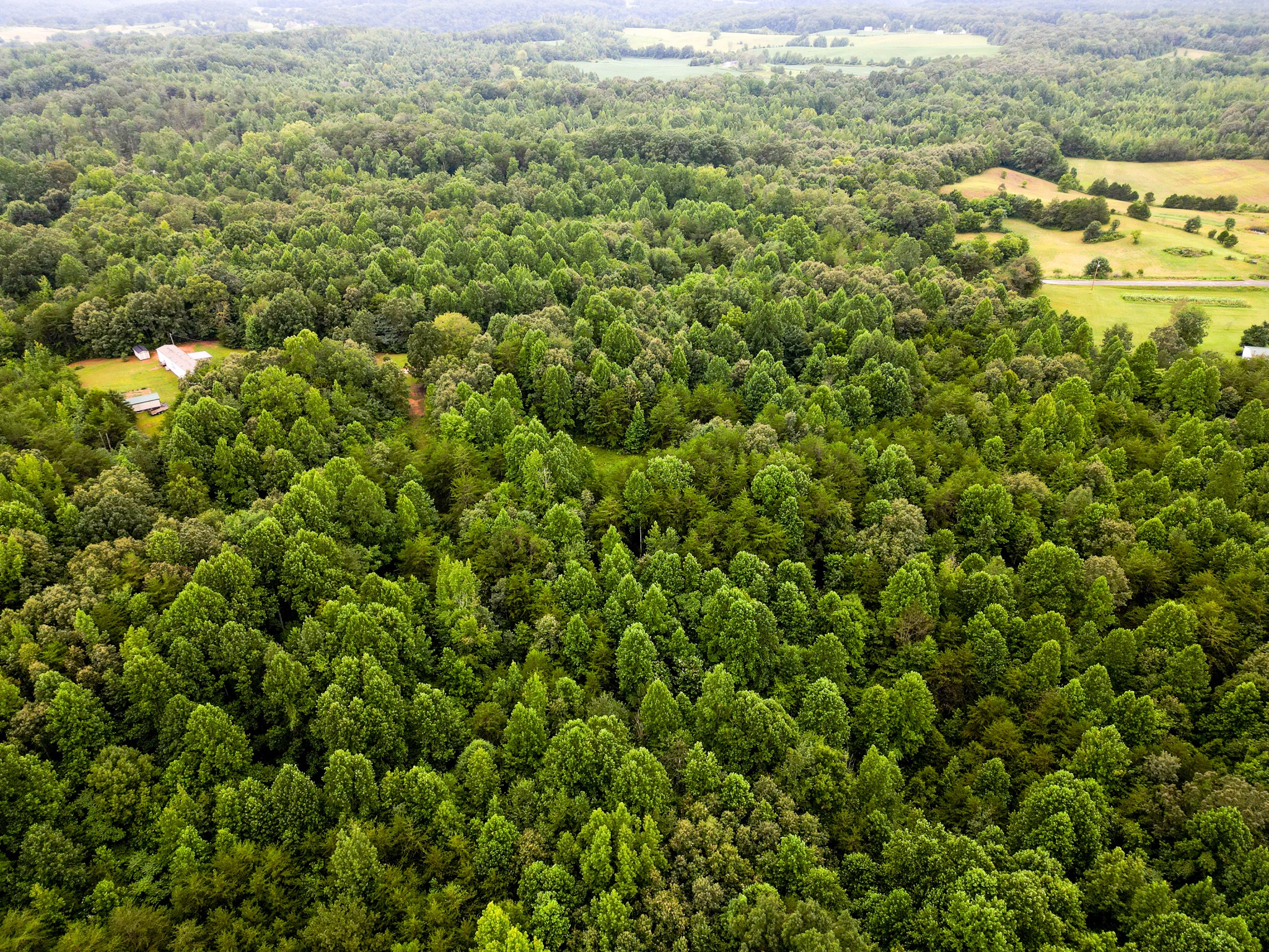 857 Dave England Road Sparta, TN 38583 - Photo 26 of 32 Gallery Image 26