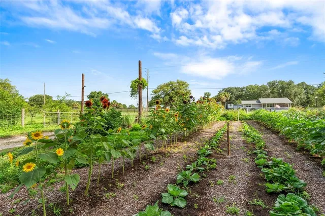 $1,500,000 | 2026 Lewis Road, Leesburg, FL 34748