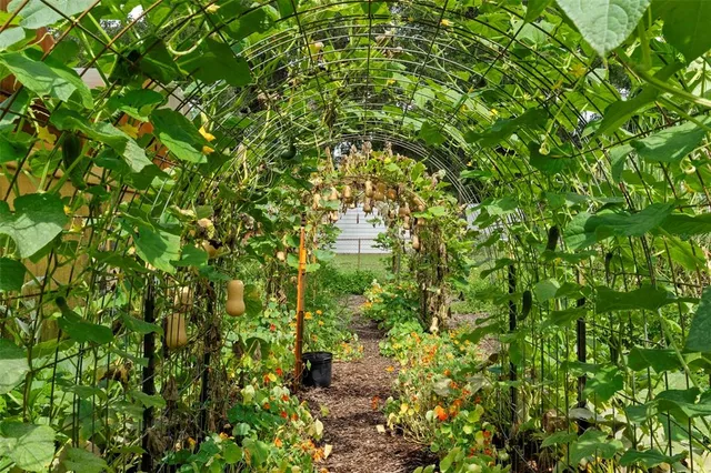 $1,500,000 | 2026 Lewis Road, Leesburg, FL 34748