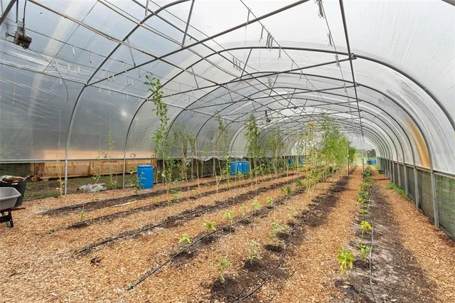 $1,500,000 | 2026 Lewis Road, Leesburg, FL 34748