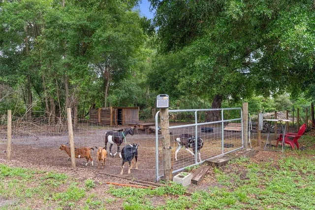 $1,500,000 | 2026 Lewis Road, Leesburg, FL 34748