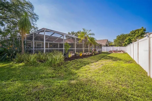 a view of a backyard with potted plants and large tree