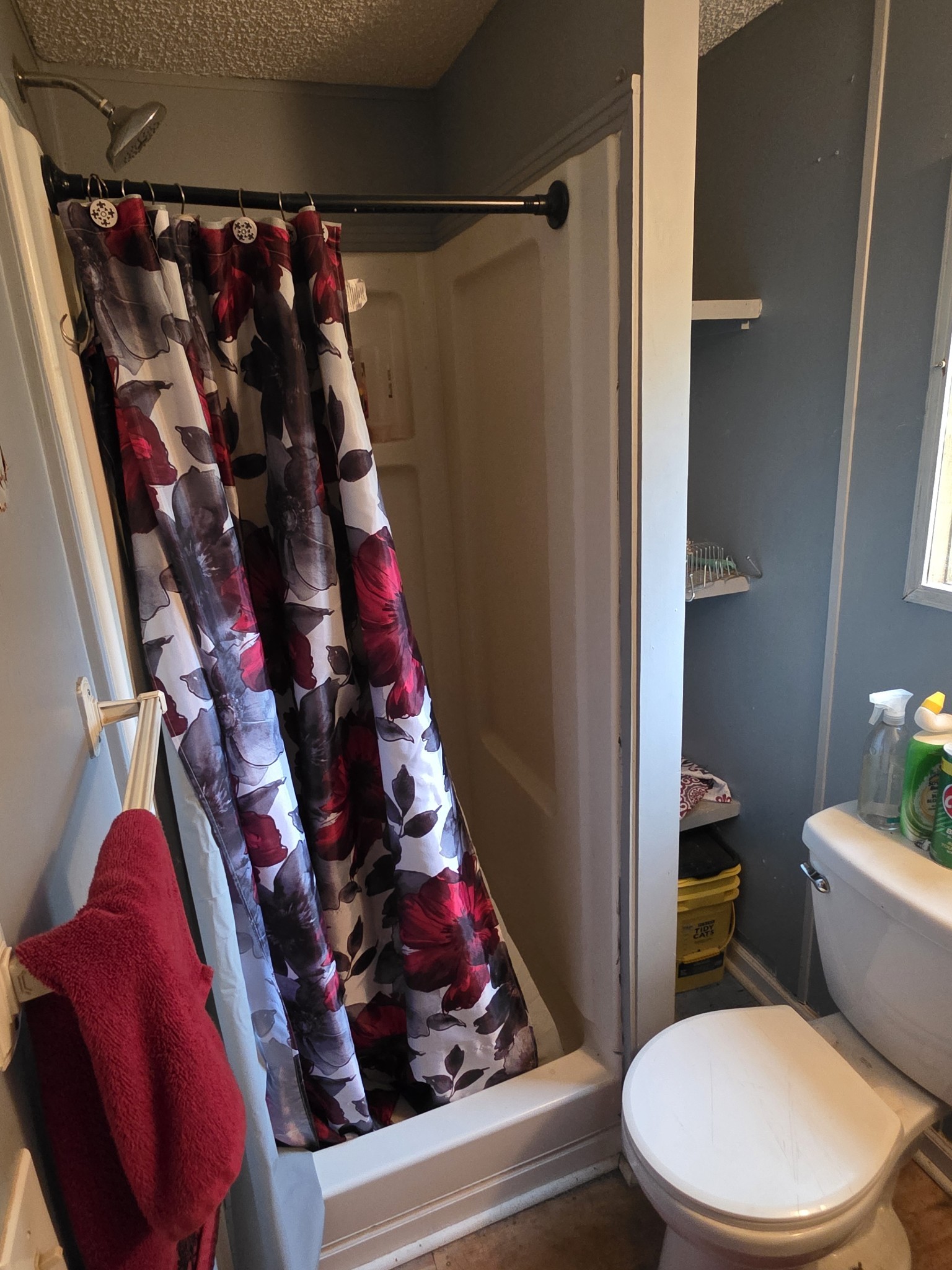 225 Opossum Hollow Road Watertown, TN 37184 - Photo 22 of 29 a bathroom with a toilet and shower curtain