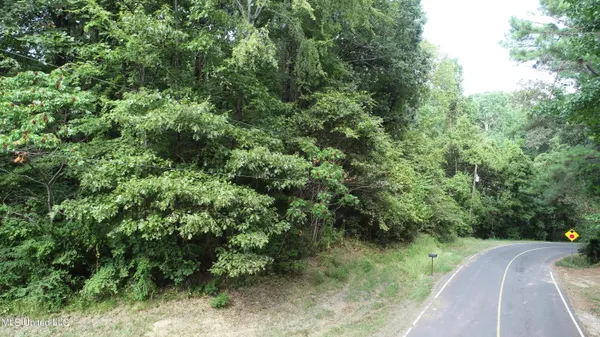 $14,000 | 11015 Horseshoe Bend, Hernando, MS 38632