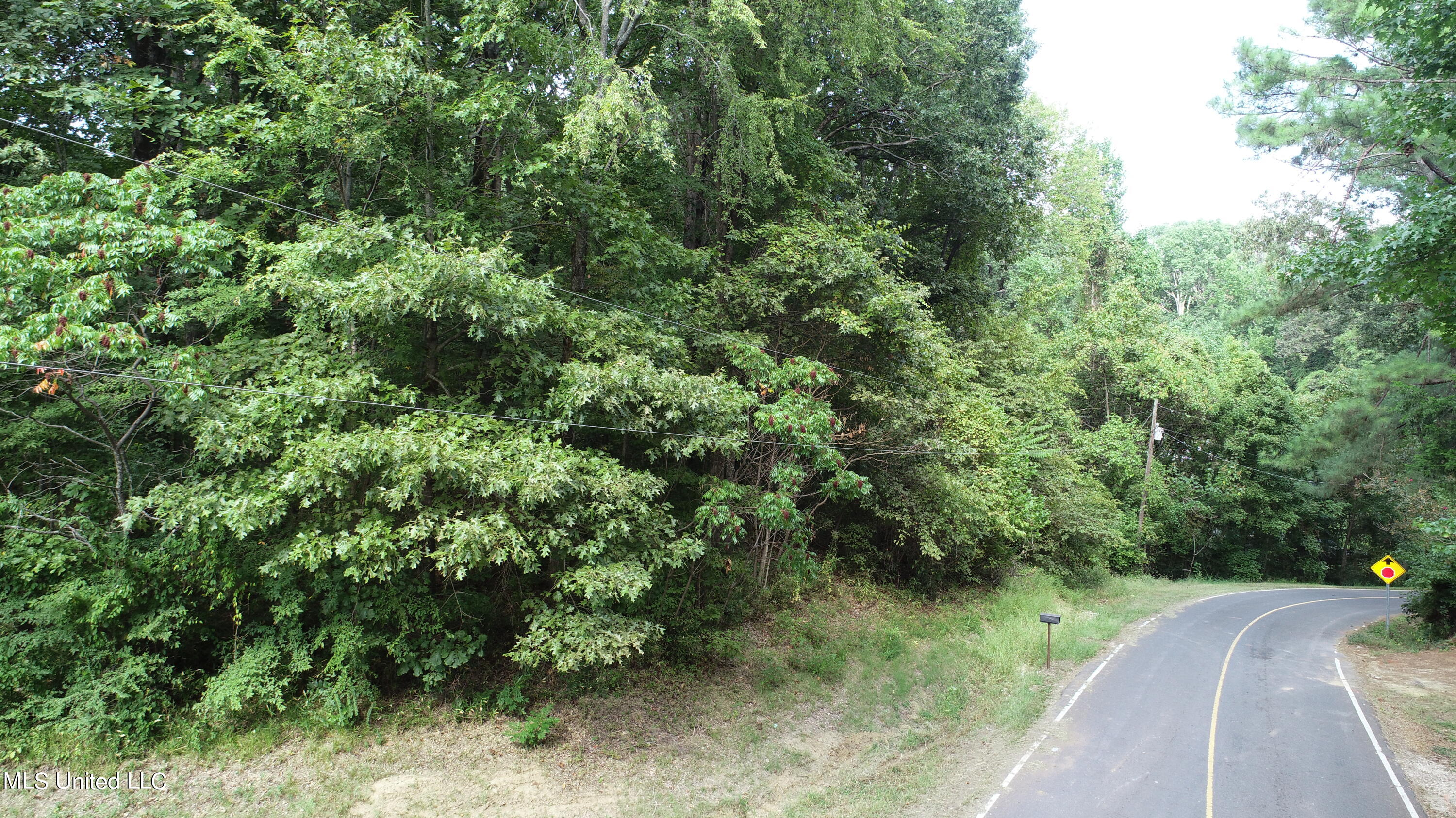 11015 Horseshoe Bend Hernando, MS 38632 - Photo 2 of 4 DJI_0183