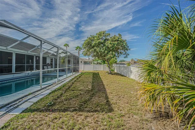a view of a backyard with a tree