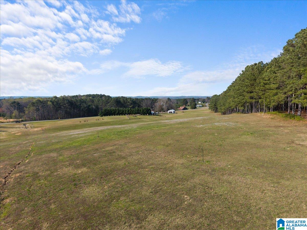 5743 County Highway 27 Springville, AL 35146 - Photo 21 of 46