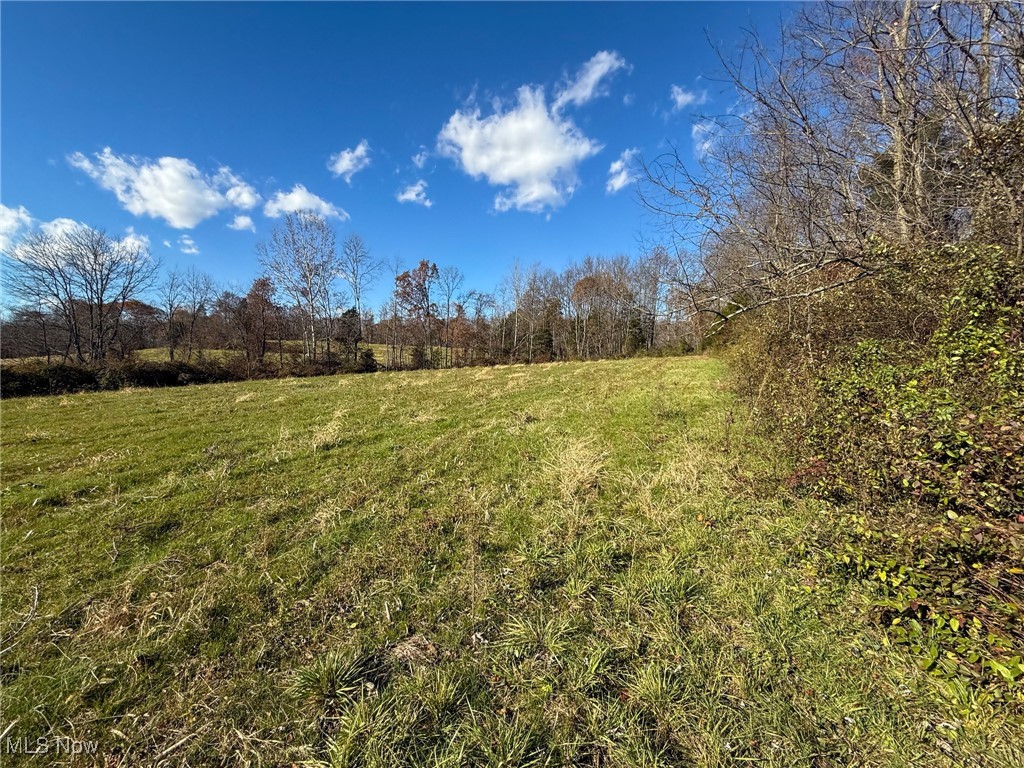 Kern Road Waterford, OH 45786 - Photo 44 of 49 View of local wilderness