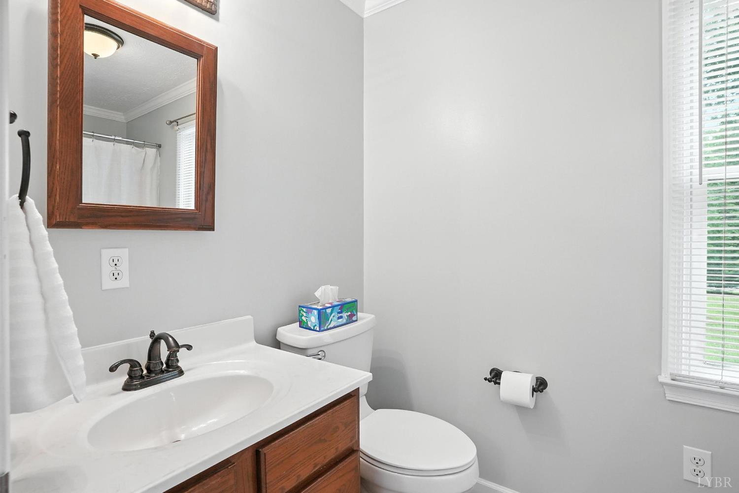 69 Gough Road Rustburg, VA 24588 - Photo 33 of 61 a bathroom with a sink a toilet and mirror