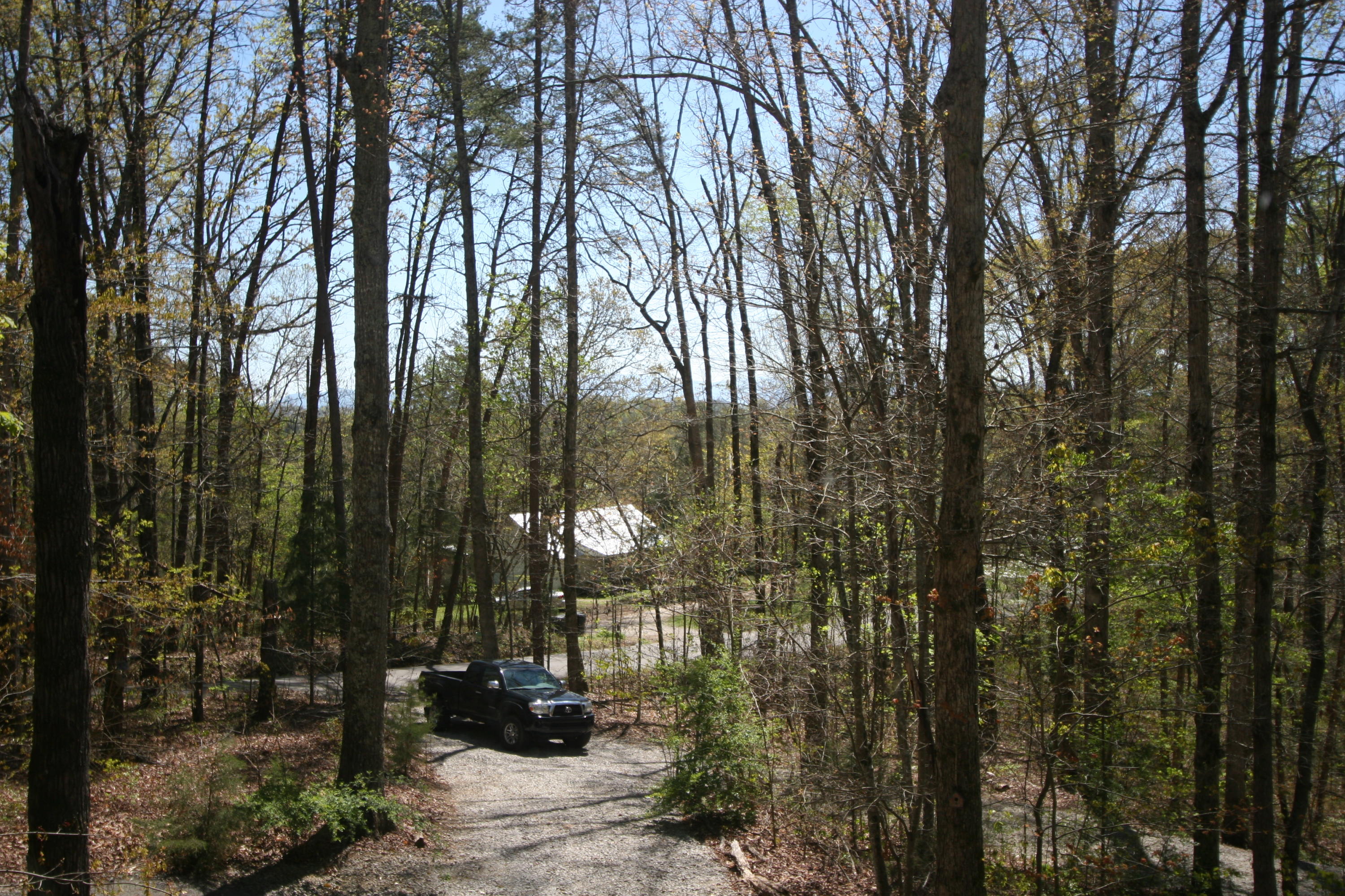 180 Badger Road Madisonville, TN 37354 - Photo 11 of 40 IMG_5409
