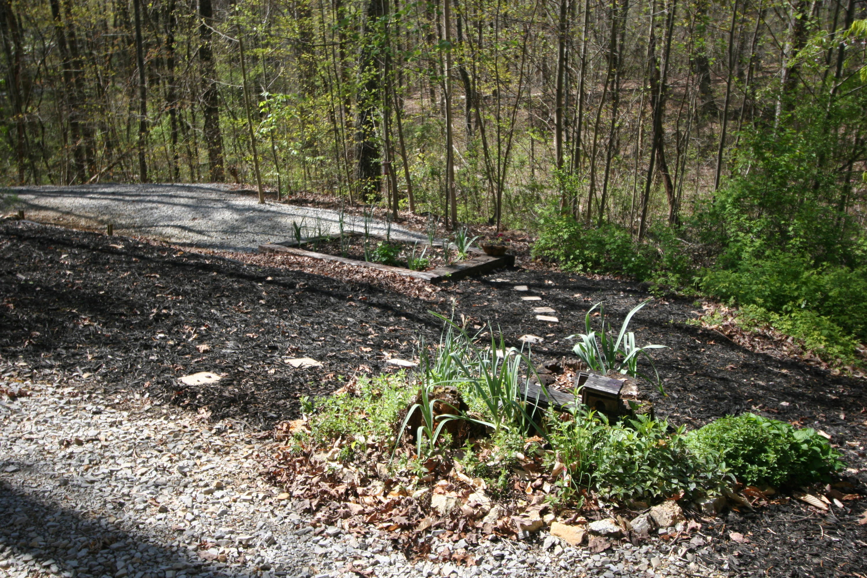 180 Badger Road Madisonville, TN 37354 - Photo 39 of 40 IMG_5387