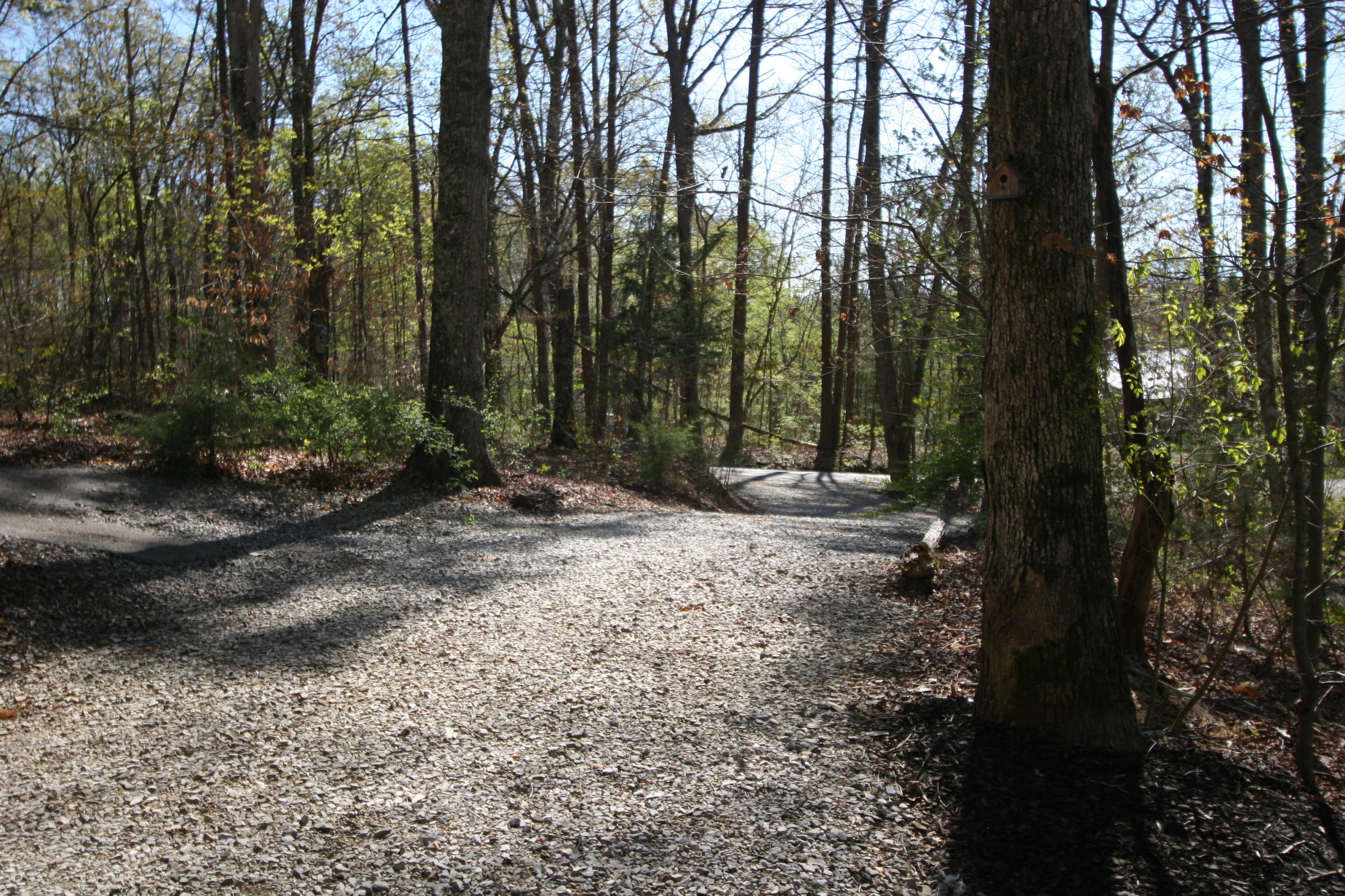180 Badger Road Madisonville, TN 37354 - Photo 40 of 40 IMG_5389