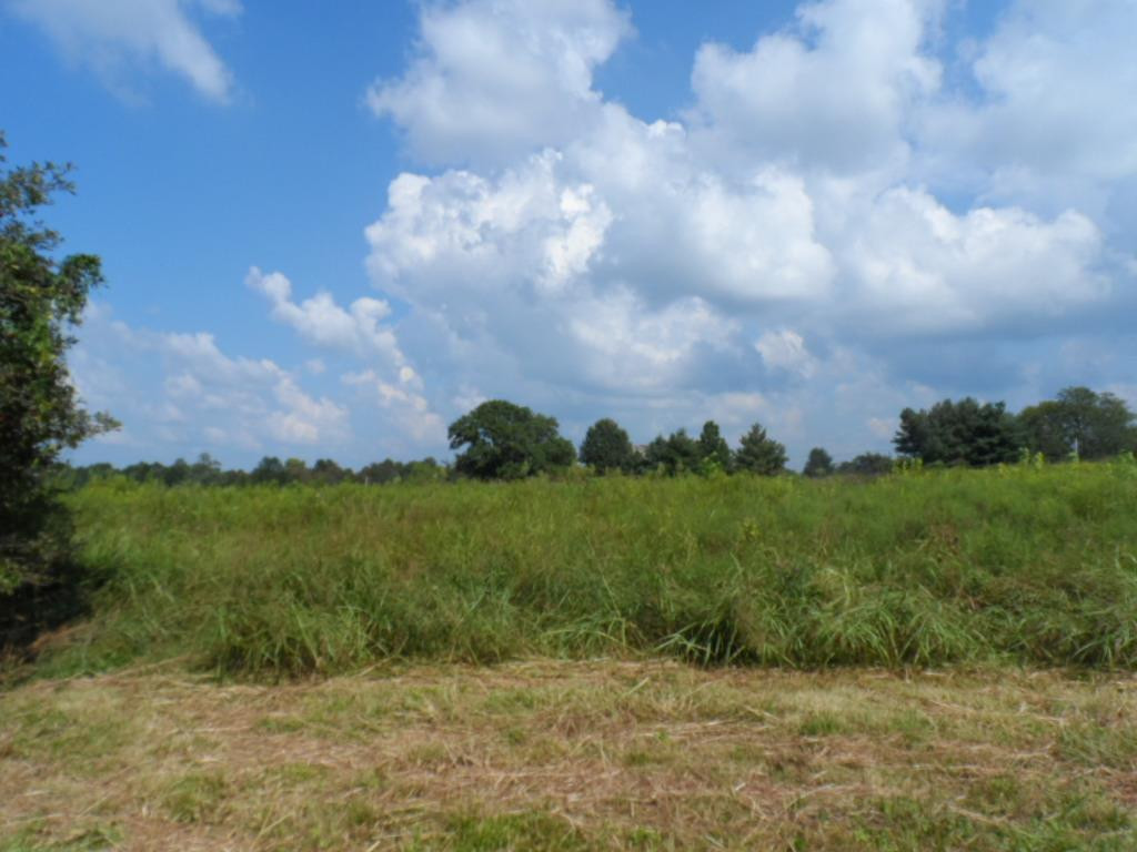 2025 Speedwell Road Richmond, KY 40475 - Photo 17 of 18 Photo 17