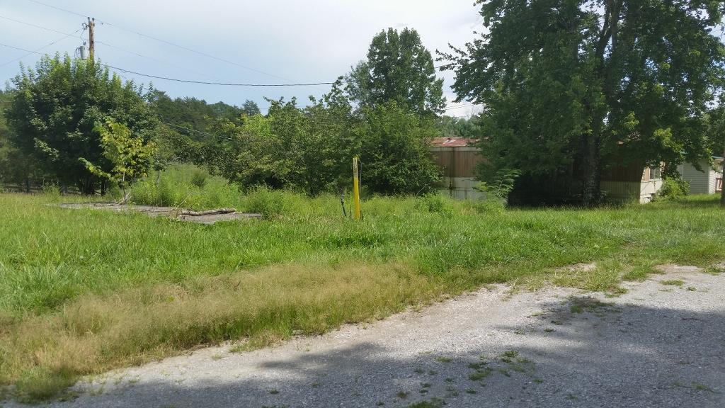 191 Jackson Road Caryville, TN 37714 - Photo 4 of 10 cat1car-Jackson Rd $19,900 (4) (1024x576
