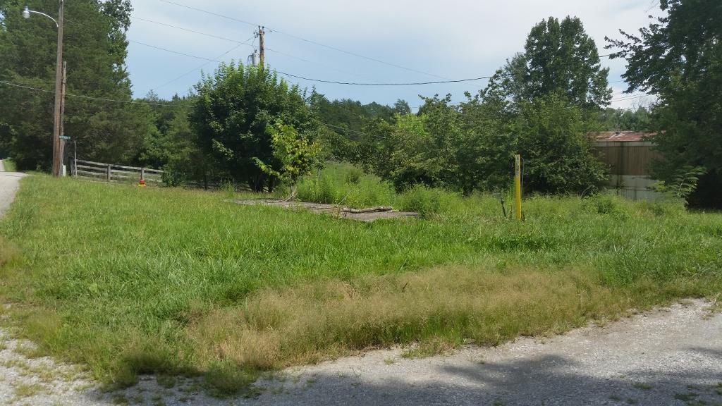 191 Jackson Road Caryville, TN 37714 - Photo 6 of 10 cat1car-Jackson Rd $19,900 (6) (1024x576